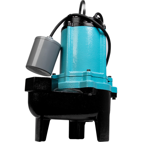 Pompe d'&eacute;gouts de s&eacute;rie 10SC, 115 V, 11 A, 120 gal./min, 1/2 CV Maritime Industrial Rubber