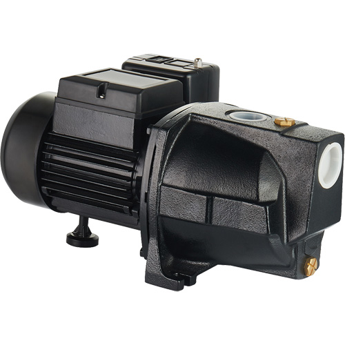 Dual Voltage Cast Iron Shallow Well Jet Pump, 115 V/230 V, 1100 GPH, 1 HP Maritime Industrial Rubber