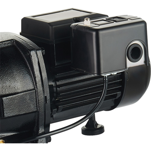 Dual Voltage Cast Iron Shallow Well Jet Pump, 115 V/230 V, 1100 GPH, 1 HP Maritime Industrial Rubber