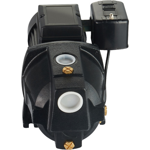 Dual Voltage Cast Iron Shallow Well Jet Pump, 115 V/230 V, 1100 GPH, 1 HP Maritime Industrial Rubber