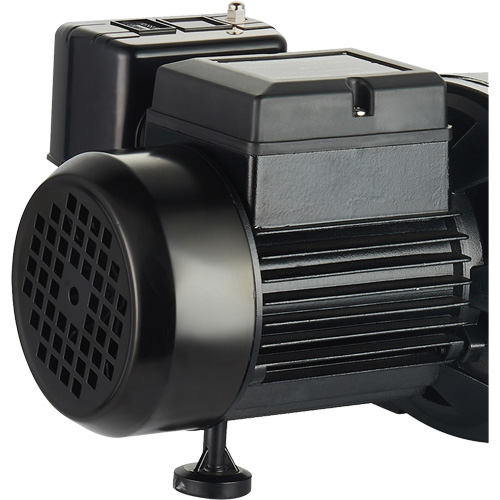 Dual Voltage Cast Iron Shallow Well Jet Pump, 115 V/230 V, 1100 GPH, 1 HP Maritime Industrial Rubber