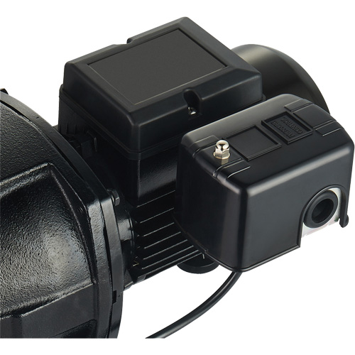 Dual Voltage Cast Iron Shallow Well Jet Pump, 115 V/230 V, 1100 GPH, 1 HP Maritime Industrial Rubber