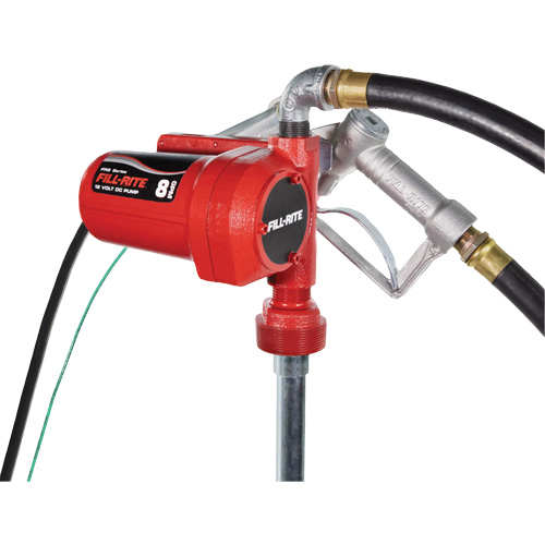 Pompe de transfert de carburant 12 V CC avec pistolet Maritime Industrial Rubber