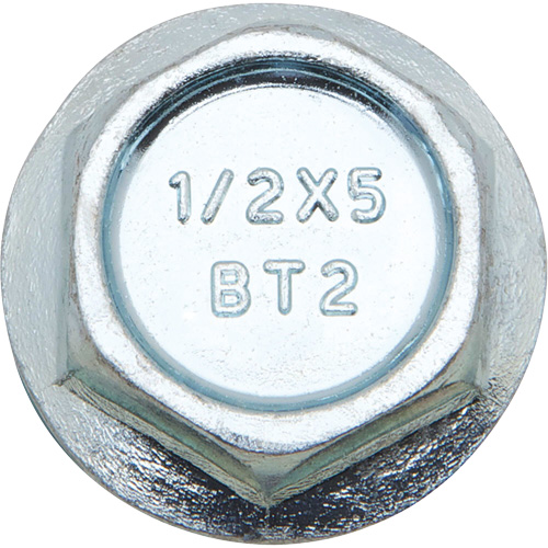Wedge Bolts, Carbon Steel, 1/2" x 2" Maritime Industrial Rubber