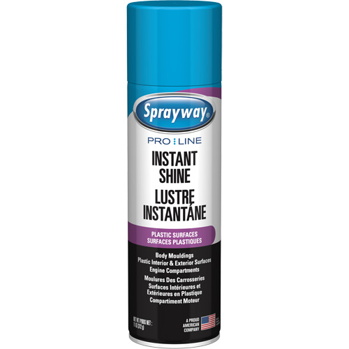 Pro Line Instant Shine for Plastic Surfaces, 11 oz., Aerosol Can Maritime Industrial Rubber