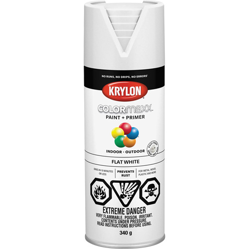 COLORmaxx Paint + Primer, White, Very Flat, 12 oz., Aerosol Can Maritime Industrial Rubber