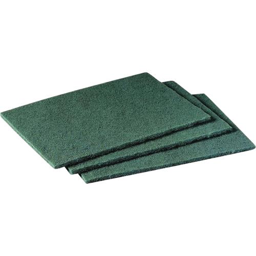Tampons manuels Scotch-Brite, 9" lo x 6" la Maritime Industrial Rubber