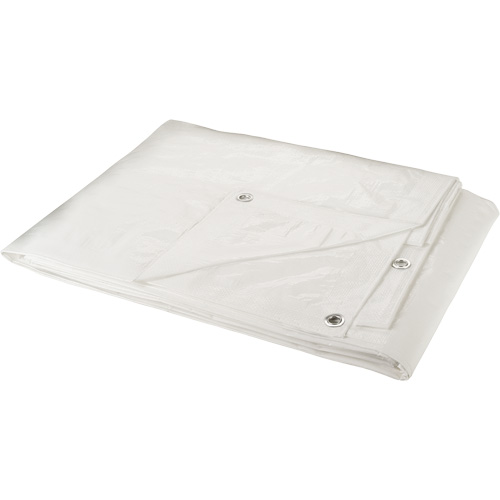 B&acirc;che, Robuste, Blanc, 30' x 20' x 6 mils Maritime Industrial Rubber