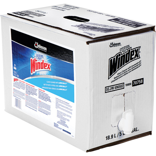 Nettoyant pour vitres Windex avec Ammoniac-D, 5 gal., Sac Maritime Industrial Rubber