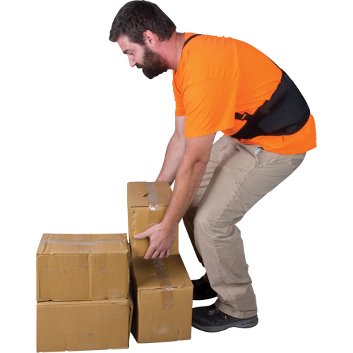 Back Support, Elastic, Small Maritime Industrial Rubber