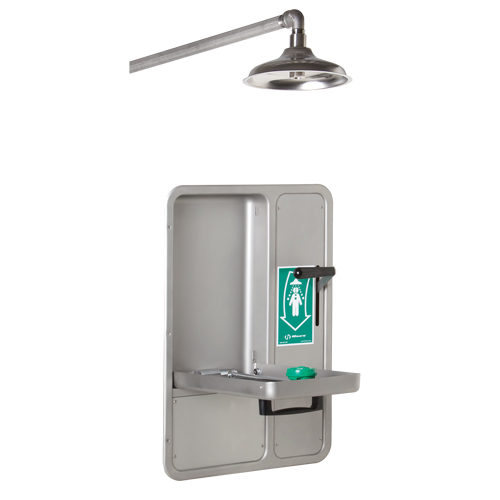 Eye/Face Wash and Shower, Ceiling-Mount Maritime Industrial Rubber