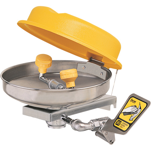 Eyewash Station, Wall-Mount Installation, Stainless Steel Bowl Maritime Industrial Rubber