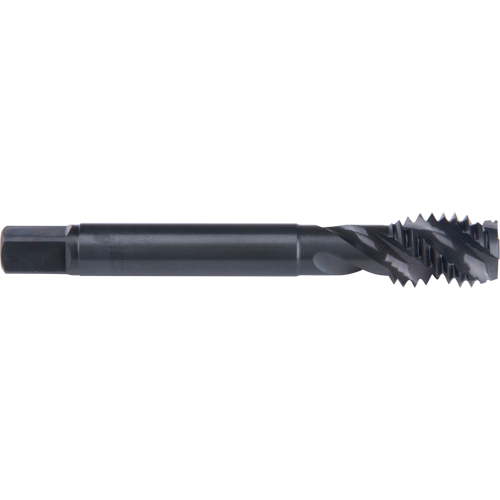 Taraud &agrave; cannelure en spirale 45°, Acier rapide au cobalt, Filet de 1/4"-20, 2-1/2" l Maritime Industrial Rubber