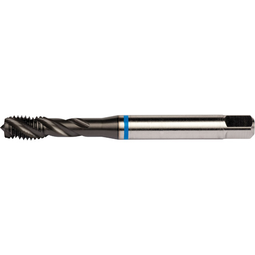 Taraud &agrave; cannelures h&eacute;licoidales Blue Shark, Acier rapide au cobalt, Filet de 1/4"-28, 3,15" l Maritime Industrial Rubber