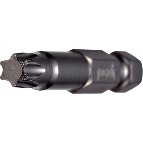 Embout pour outil &eacute;lectrique, Torx, Embout T-20, Prise 1/4", Longueur 2" Maritime Industrial Rubber