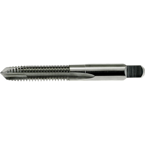 Taraud &agrave; pointe spiral&eacute;e surdimensionn&eacute;e Nitro DRILLCO, Acier rapide, Filet de 3/8"-16 Maritime Industrial Rubber