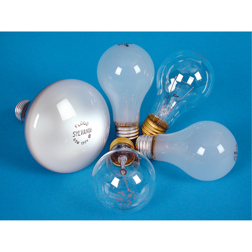 LAMPE INCANDESCENTE,25W,130V,GIVREE,2/PQT Maritime Industrial Rubber