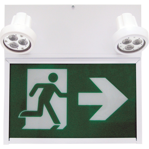 Enseigne de sortie coureur, DEL, &agrave; piles/&agrave; raccordement fixe, 12" lo x 12 1/2" la, Pictogramme Maritime Industrial Rubber