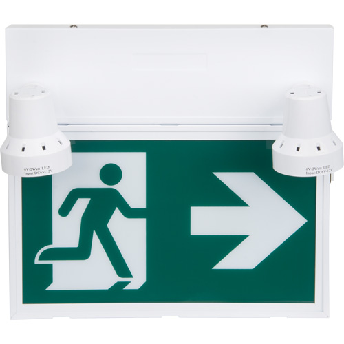 Enseigne d'homme qui court avec &eacute;clairage de s&eacute;curit&eacute;, DEL, &agrave; piles/&agrave; raccordement fixe, 12-1/10" lo x 11" la, Pictogramme Maritime Industrial Rubber