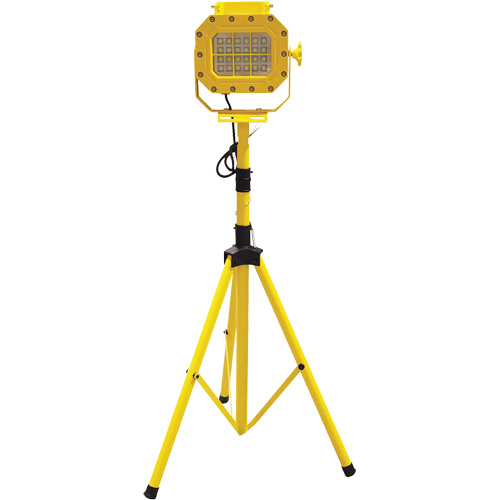 Explosion Proof Floodlight with Tripod, LED, 40 W, 5600 Lumens, Aluminum Housing Maritime Industrial Rubber
