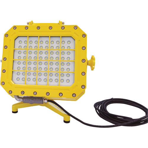 Explosion Proof Floodlight with Floor Stand, LED, 40 W, 5600 Lumens, Aluminum Housing Maritime Industrial Rubber