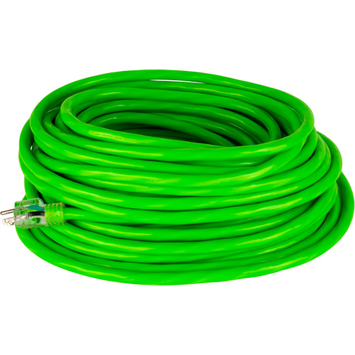 Cordon rallonge de calibre industriel, Toutes saisons, SJTW, AWG 10/3, 15 A, 50' Maritime Industrial Rubber