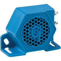 Alarm Systems