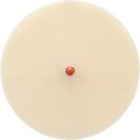 Disque Scotch-Brite 7502 pour retrait de colle et de bandes de moulage, 6" dia. Maritime Industrial Rubber