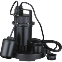 Pompe de puisard submersible thermoplastique, 2560 gal./h, 115 V, 4,6 A, 1/3 CV Maritime Industrial Rubber