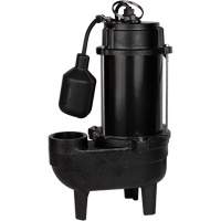 Cast Iron Sewage Pump, 120 V, 9.5 A, 6000 GPH, 1/2 HP Maritime Industrial Rubber