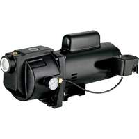 Dual Voltage Cast Iron Shallow Well Jet Pump, 115 V/230 V, 1260 GPH, 1 HP Maritime Industrial Rubber