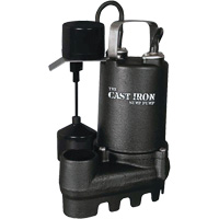 Pompe de puisard submersible en fonte avec interrupteur &agrave; flotteur vertical, 67 gal./min, 33 V, 5 A, 1/3 CV Maritime Industrial Rubber
