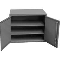Wall-Mounted Cabinet, 27" H x 13-11/16" W x 35-7/8" D, 2 Shelves, Steel, Grey Maritime Industrial Rubber