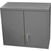 Wall-Mounted Cabinet, 27" H x 13-11/16" W x 35-7/8" D, 2 Shelves, Steel, Grey Maritime Industrial Rubber