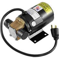 Low Profile Truck Drain with Electric Pump Maritime Industrial Rubber