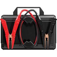 Survolteur V4000 HD 12 V/24 V 4000 A Maritime Industrial Rubber