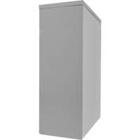 Counter-High Storage Cabinet, Steel, 2 Shelves, 42" H x 48" W x 24" D, Grey Maritime Industrial Rubber