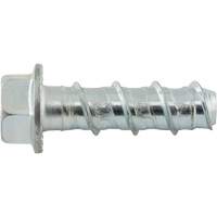 Wedge Bolts, Carbon Steel, 1/2" x 2" Maritime Industrial Rubber