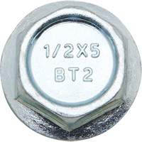 Wedge Bolts, Carbon Steel, 1/2" x 2" Maritime Industrial Rubber