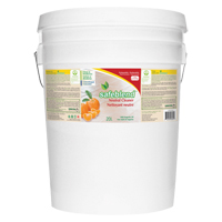 Neutral Cleaner, 20 L, Pail Maritime Industrial Rubber