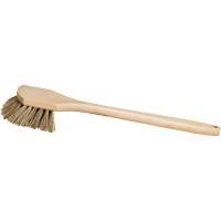 Cleaning Brushes