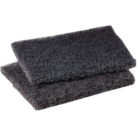 Tampon de polissage pour plaque de cuisson Scotch-Brite, 4" lo x 5" la Maritime Industrial Rubber