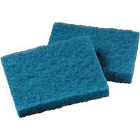 Non-Stick Cookware Cleaning Pad, Scrubbing, 5-1/4" W x 4" L Maritime Industrial Rubber