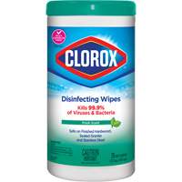 Disinfecting Wipes, 75 Count Maritime Industrial Rubber