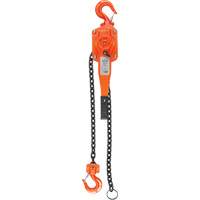 Lever Hoist, 5' Lift, 6000 lbs. (3 tons) Capacity, Alloy Steel Chain Maritime Industrial Rubber