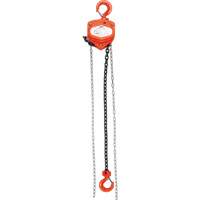 Chain Hoist, 10' Lift, 4000 lbs. (2 tons) Capacity, Alloy Steel Chain Maritime Industrial Rubber
