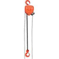 Chain Hoist, 10' Lift, 4000 lbs. (2 tons) Capacity, Alloy Steel Chain Maritime Industrial Rubber