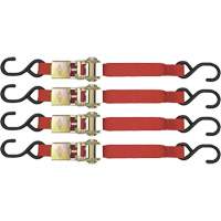 Cargo Tie Downs