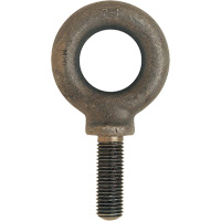 Metric Eyebolt, 51 mm Dia., 70 mm L, 11400 lbs. (5.7 tons) Capacity Maritime Industrial Rubber