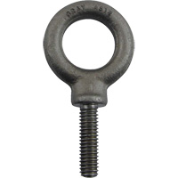 Alloy Steel Eye Bolt, 1" Dia., 1-1/4" L, 1480 lbs. (0.74 tons)/1480 lbs. Capacity Maritime Industrial Rubber